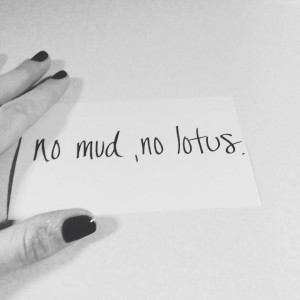 no mud no lotus